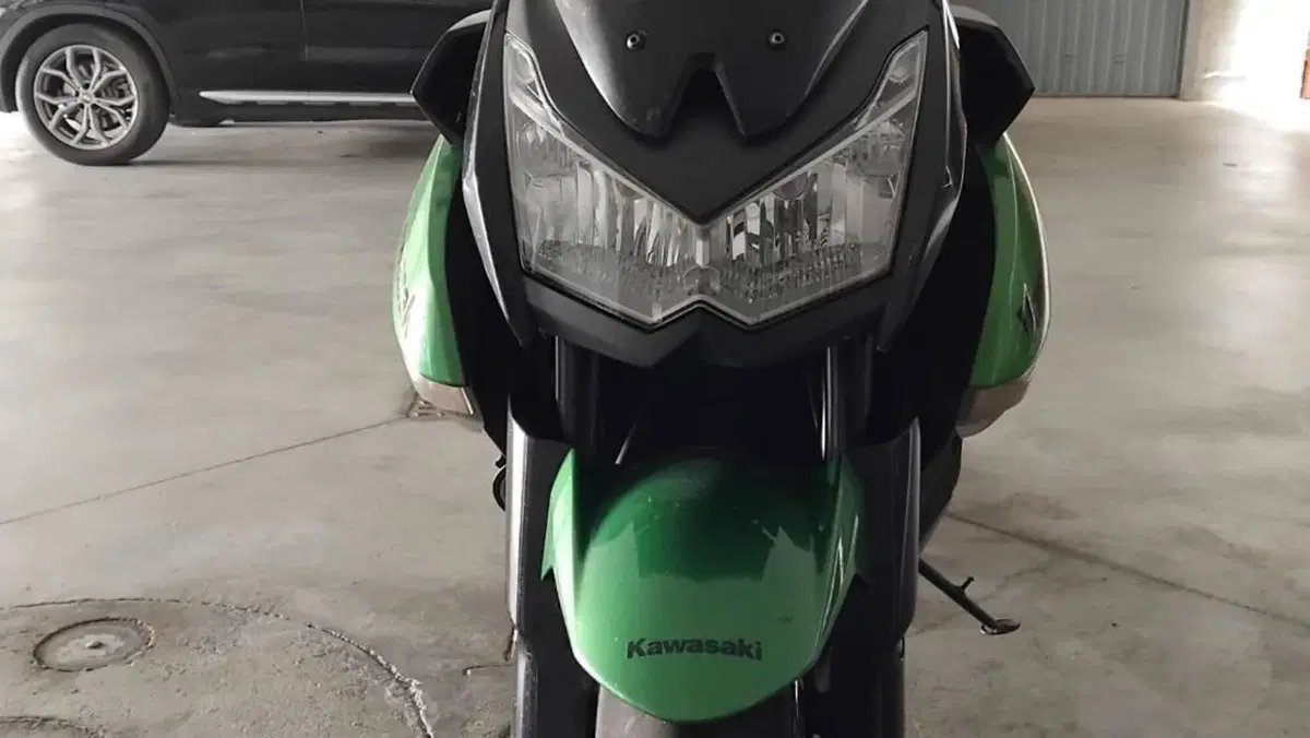 Kawasaki Z 1000 (2010 - 13)  (4)