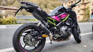 Kawasaki Z 900 Performance (2019) 