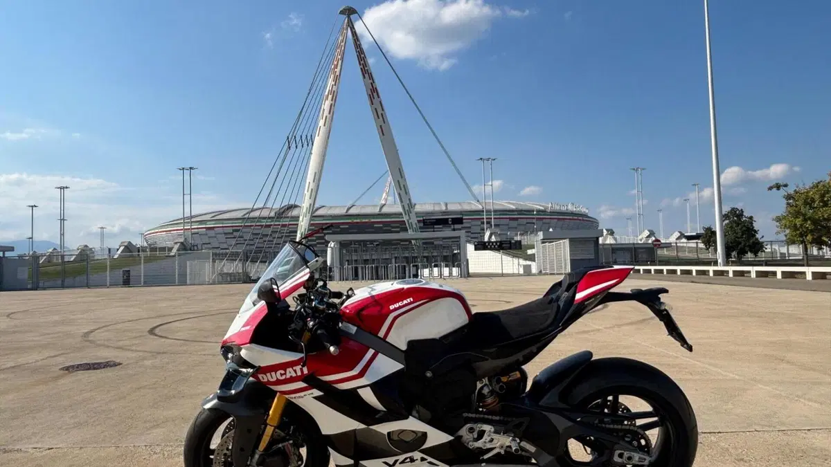 Ducati Panigale V4 Tricolore (2025 - 26)  (6)