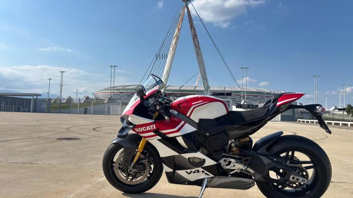 Ducati Panigale V4 Tricolore (2025 - 26)  (7)