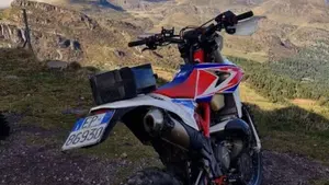 Betamotor RR 300 2T Enduro (2019)  (6)