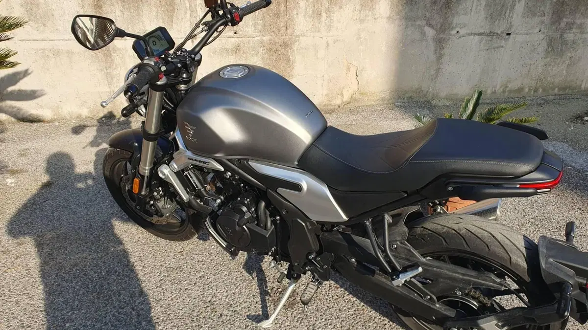 Voge Trofeo 500AC (2022 - 26)  (4)