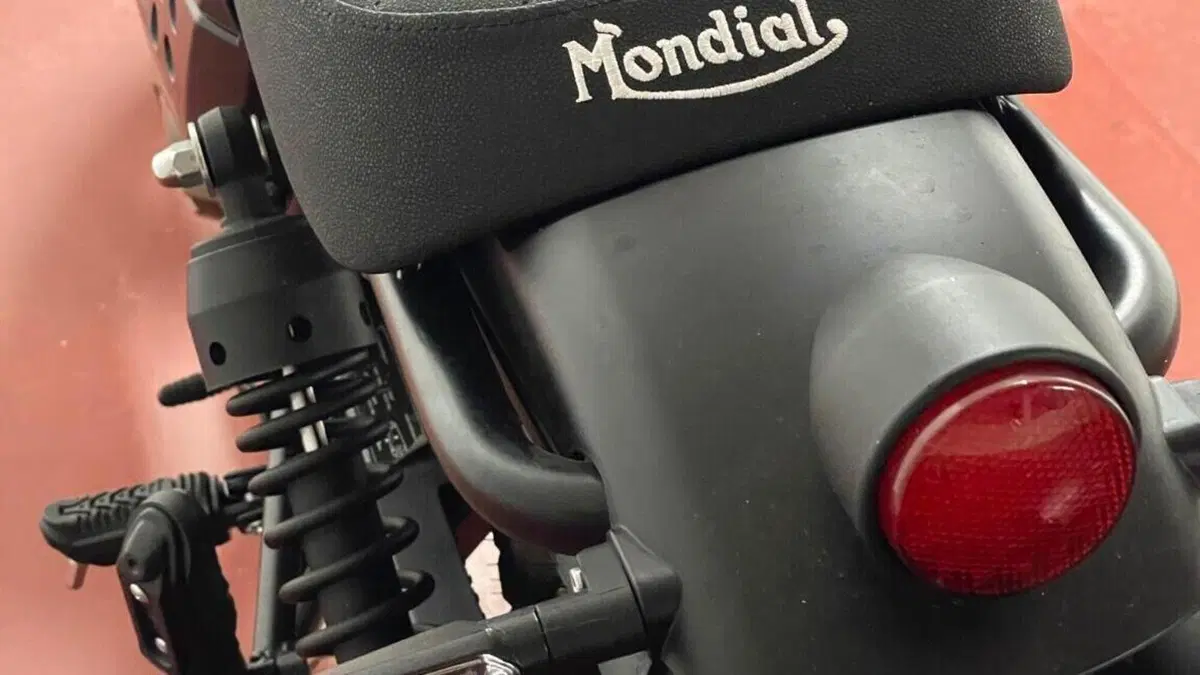 FB Mondial Spartan 250 (2024)  (5)