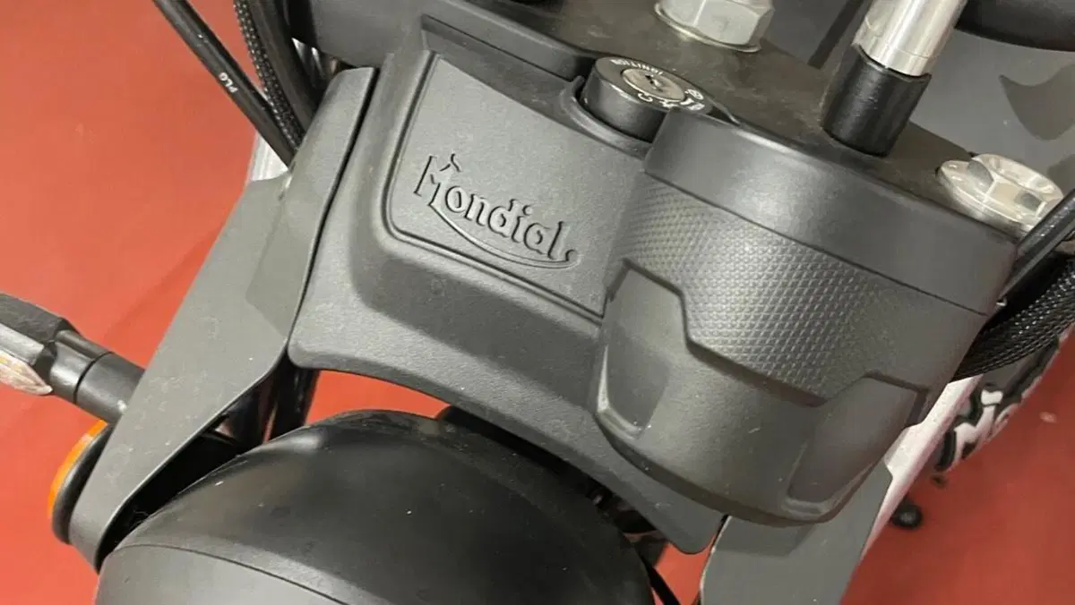 FB Mondial Spartan 250 (2024)  (6)