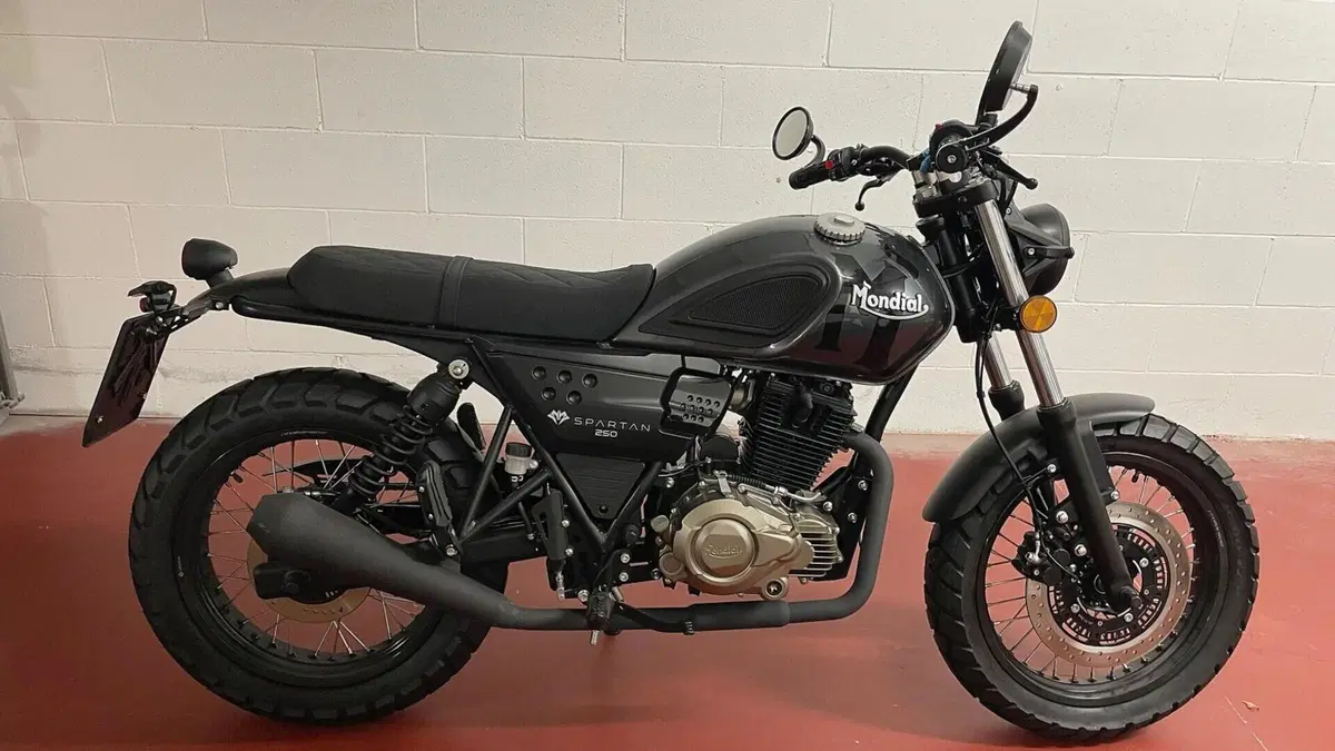 FB Mondial Spartan 250 (2024)  (2)