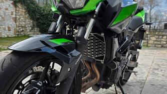 Kawasaki Z 400 (2023) usata