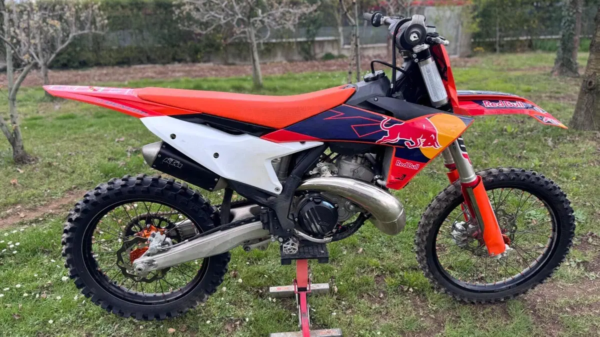 KTM SX 300 (2023)  (2)