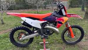 KTM SX 300 (2023)  (2)