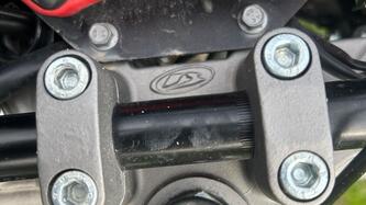 Betamotor RR 50 Motard (2021 - 26) usata