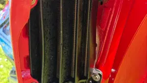 GASGAS MC 450 F (2021)  (6)