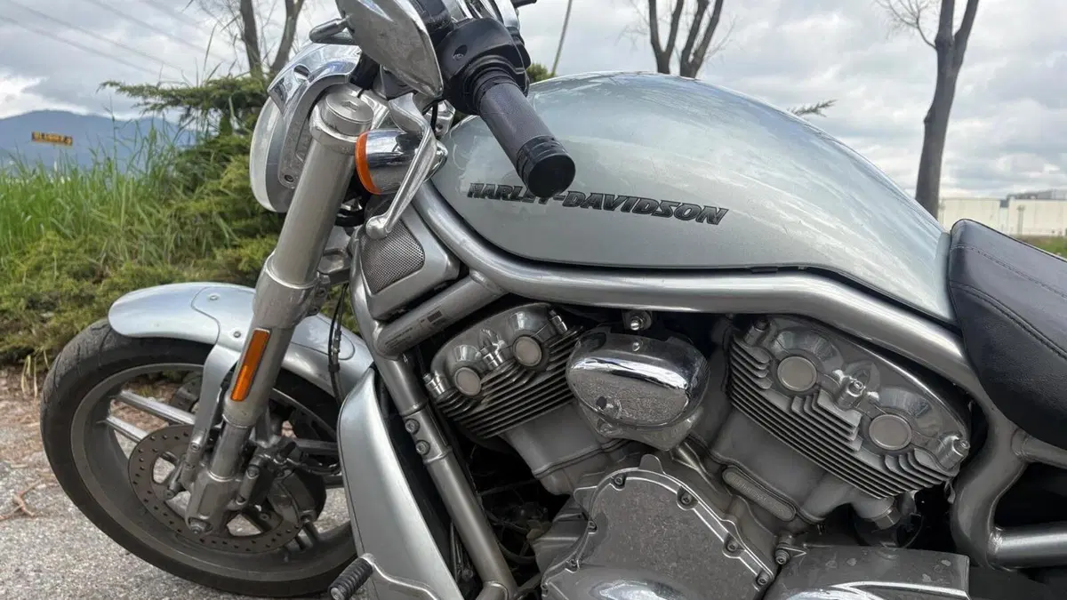 Harley-Davidson 1250 V-Rod Muscle (2009 - 17) - VRSCF  (2)