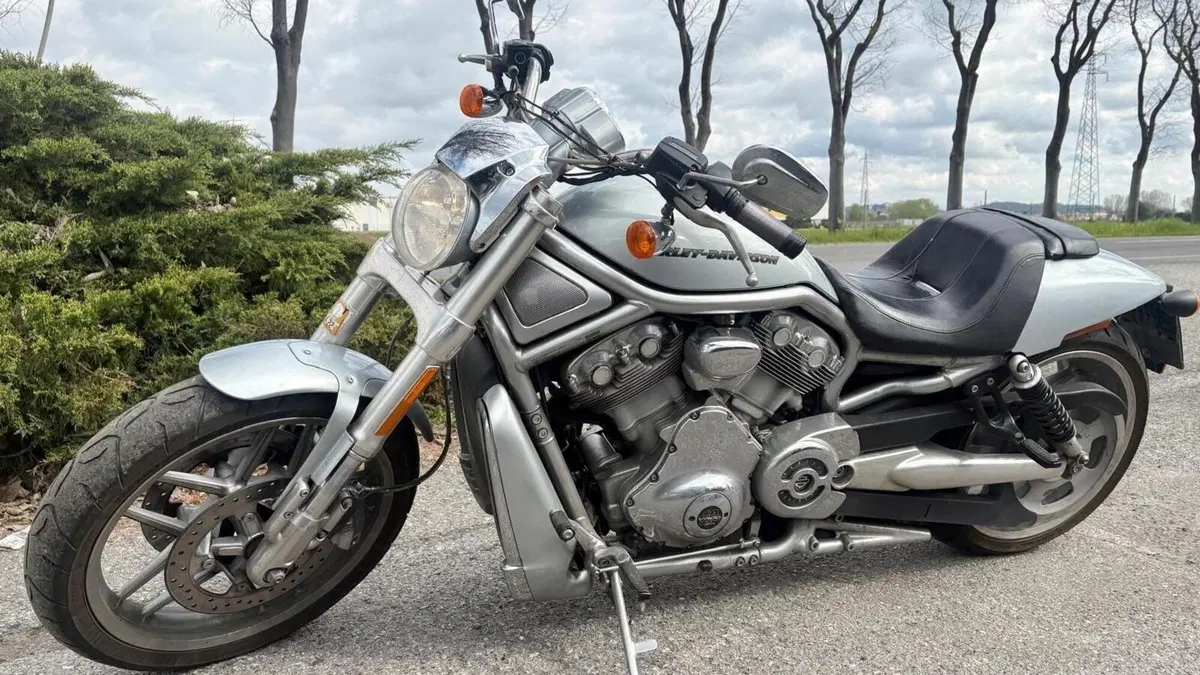 Harley-Davidson 1250 V-Rod Muscle (2009 - 17) - VRSCF  (4)
