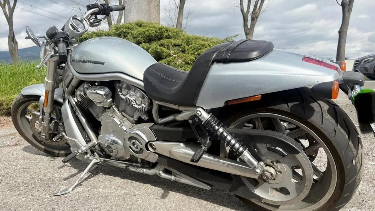 Harley-Davidson 1250 V-Rod Muscle (2009 - 17) - VRSCF  (5)