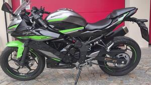 Kawasaki Ninja 125 (2021 - 24) 