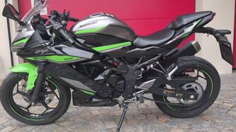 Kawasaki Ninja 125 (2021 - 24) usata
