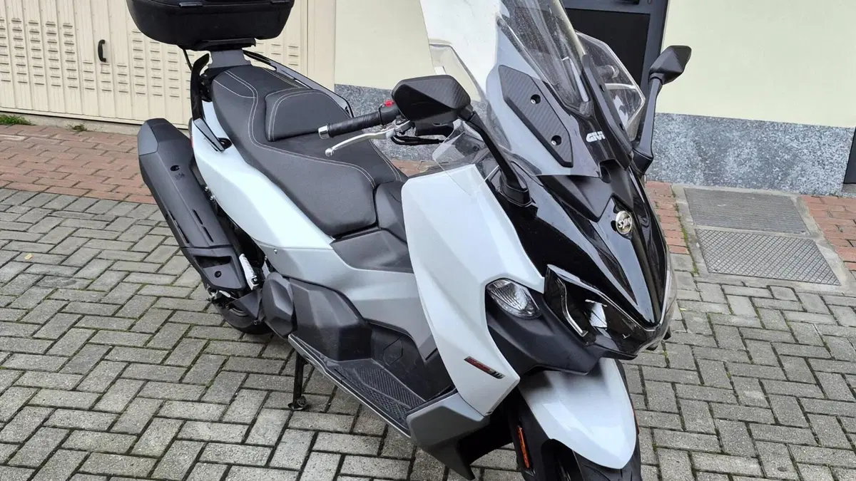 Sym Maxsym TL 508 (2025 - 26)  (2)