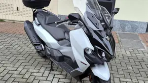 Sym Maxsym TL 508 (2025 - 26)  (2)