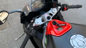 Aprilia RS 660 (2020 - 24)  (4)