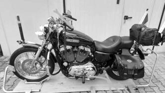 Harley-Davidson 1200 Low (2008 - 09) - XL 1200L usata