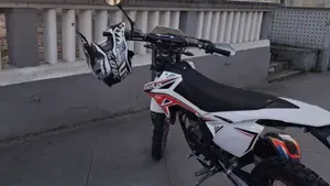 Betamotor RR 50 Enduro (2011 - 18)  (2)