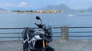 Triumph Tiger 900 Rally Pro (2020 - 23) 