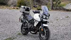 Triumph Tiger 800 XRx (2018 - 20)  (2)