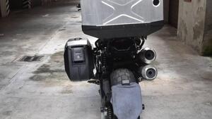 Ducati Scrambler 1100 Dark Pro (2020 - 24) 