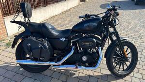 Harley-Davidson 883 Iron (2012 - 14) - XL 883N 
