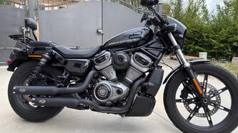 Harley-Davidson Nightster (2023 - 26) usata