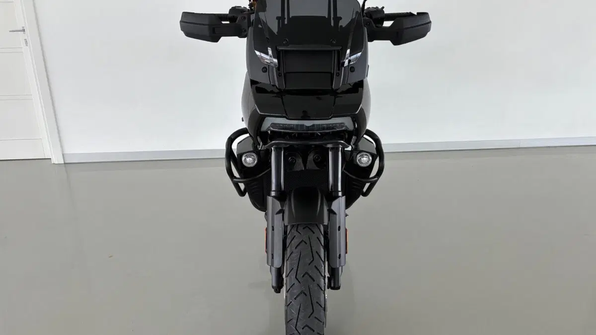 Harley-Davidson Pan America 1250 (2020 - 25)  (10)