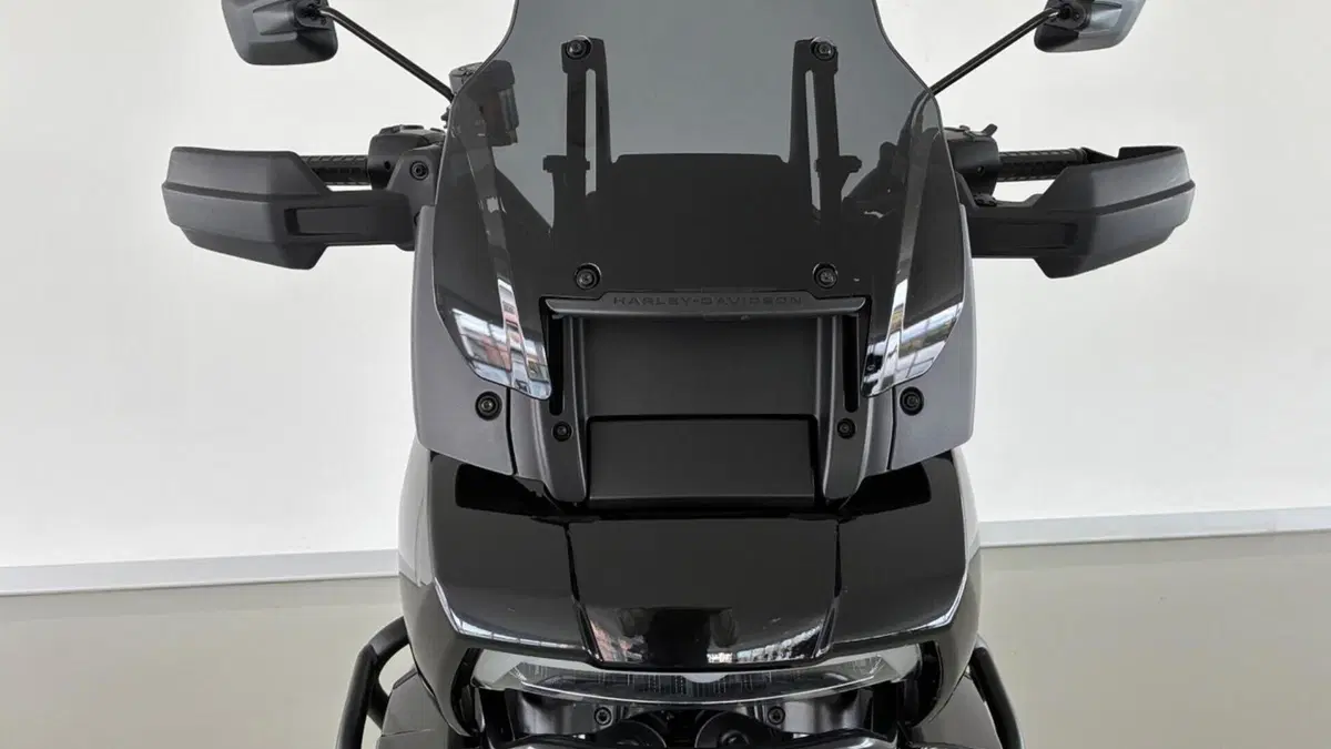 Harley-Davidson Pan America 1250 (2020 - 25)  (11)
