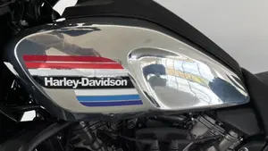 Harley-Davidson Pan America 1250 (2020 - 25)  (3)