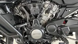 Harley-Davidson Pan America 1250 (2020 - 25)  (6)