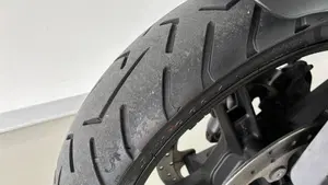 Harley-Davidson Pan America 1250 (2020 - 25)  (17)