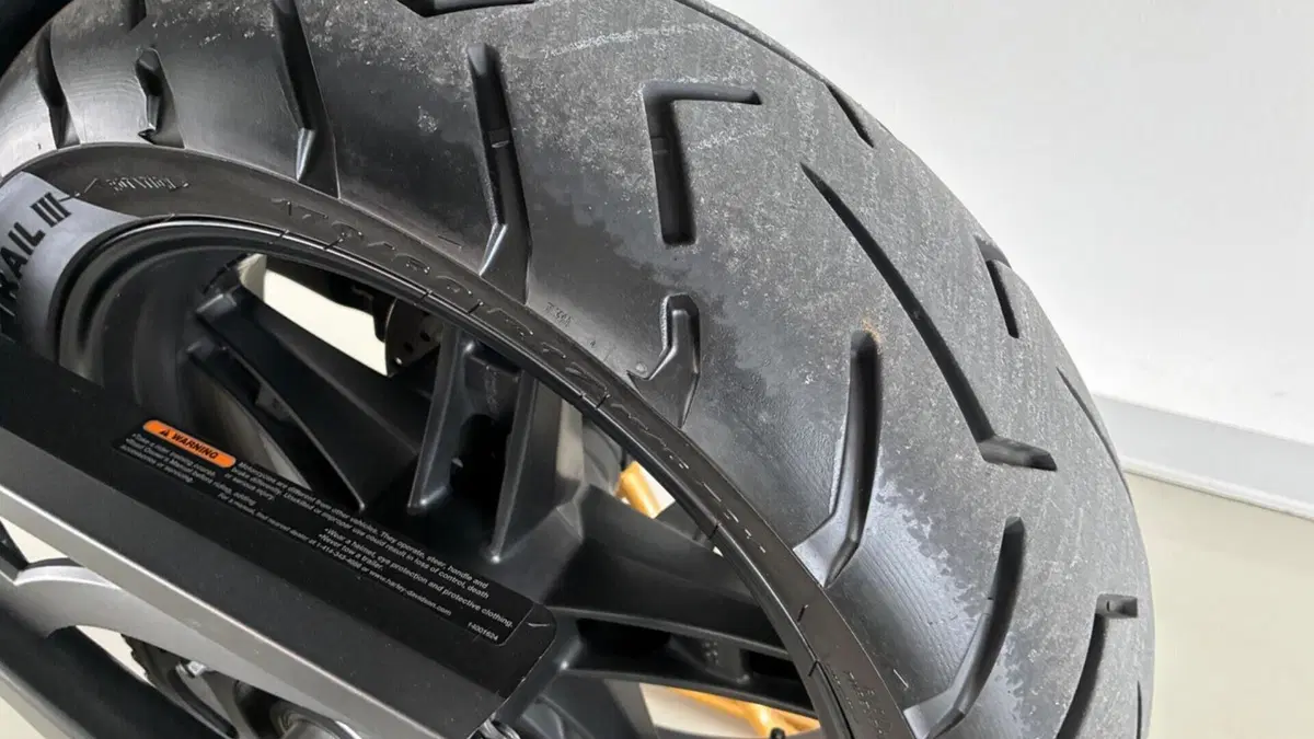 Harley-Davidson Pan America 1250 (2020 - 25)  (18)