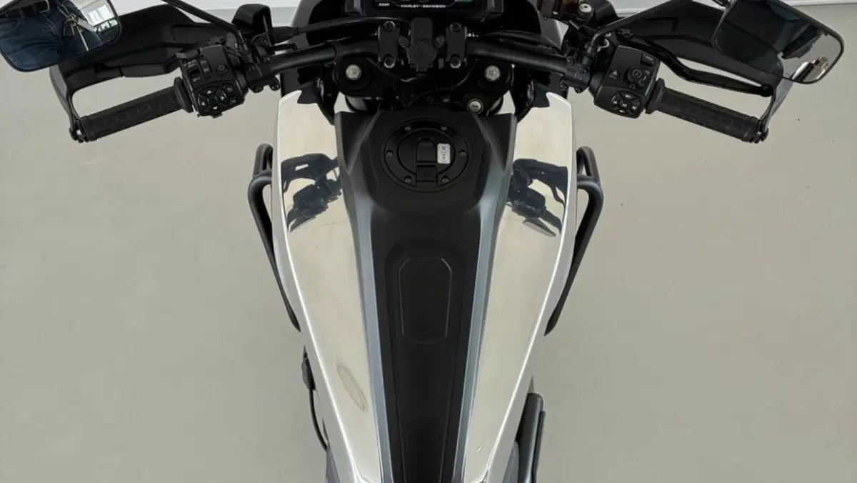 Harley-Davidson Pan America 1250 (2020 - 25)  (13)
