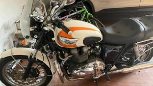 Triumph Bonneville T100 (2001 - 07) 