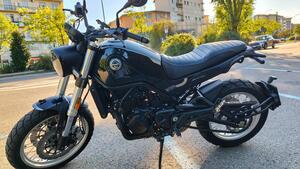 Benelli Leoncino 500 Trail (2021 - 26) 