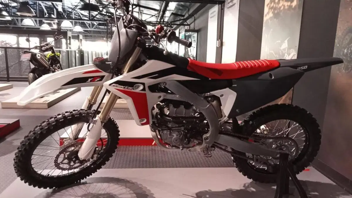 Fantic Motor XXF 250 Cross (2022)  (2)