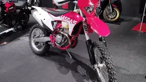 GASGAS EC 350 F (2021)  (2)