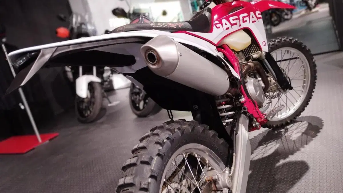 GASGAS EC 350 F (2021)  (5)