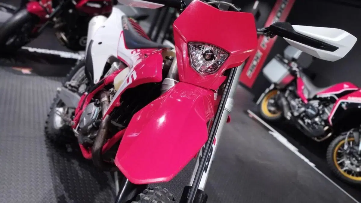GASGAS EC 350 F (2021)  (3)