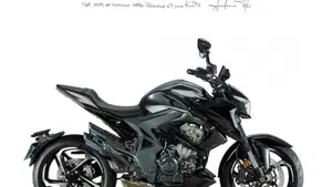 Zontes ZT350-R1 (2022 - 25) 