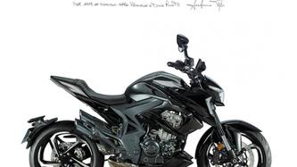 Zontes ZT350-R1 (2022 - 25) nuova