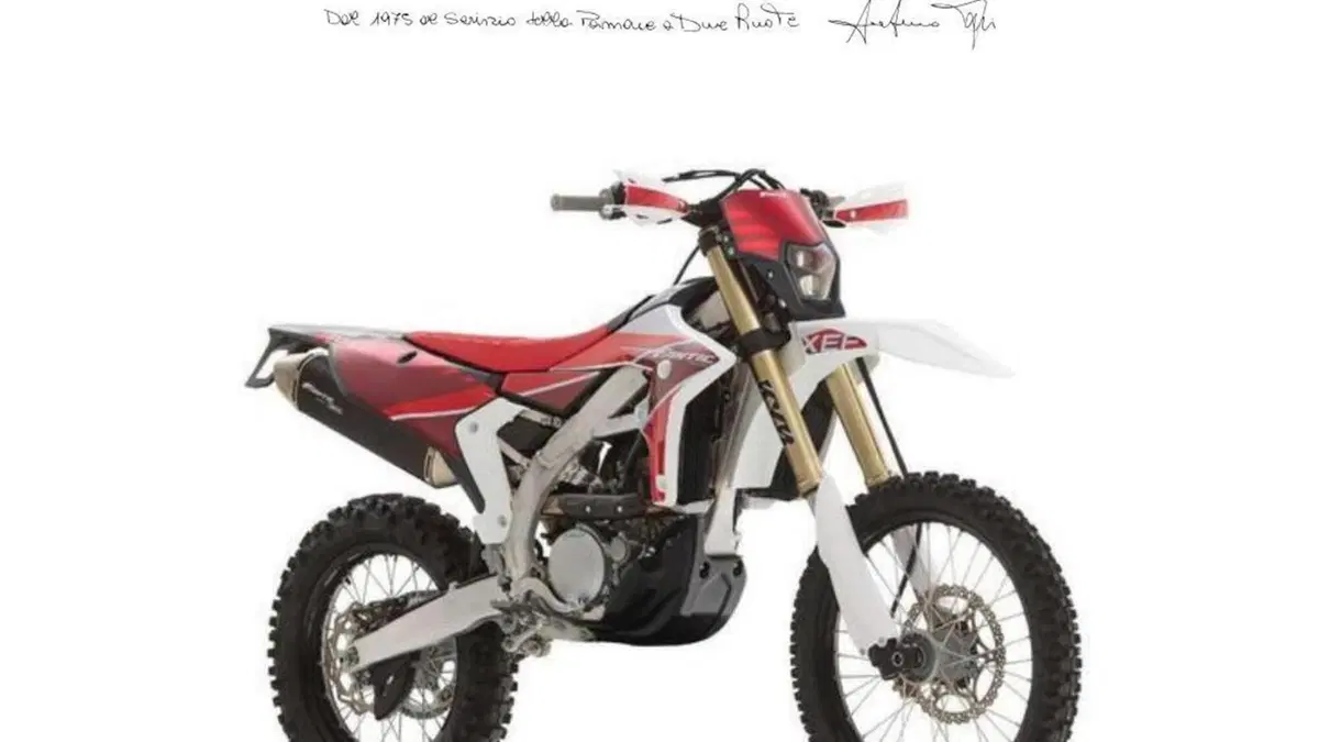 Fantic Motor XEF 310 (2025) 