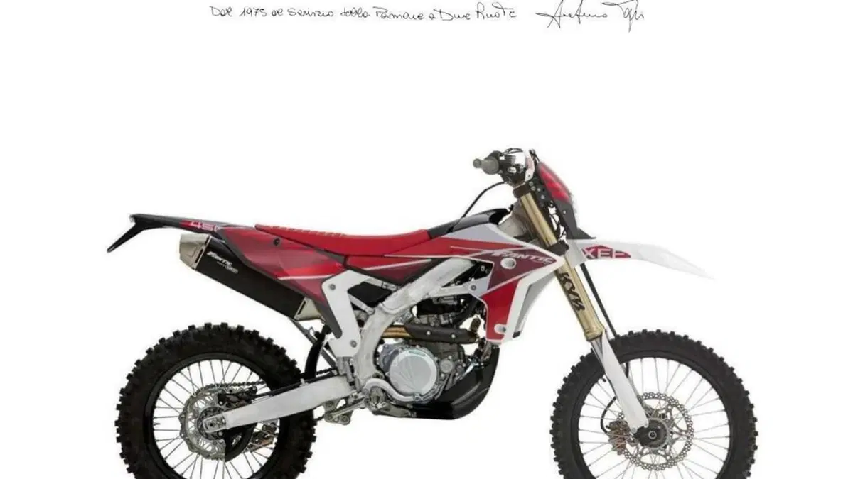 Fantic Motor XEF 450 (2025) 