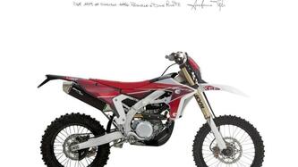 Fantic Motor XEF 450 (2025) nuova