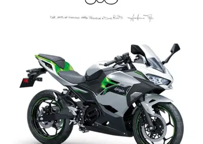 Kawasaki Ninja e-1 (2024 - 26) - Annuncio 9556762