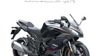 Kawasaki Ninja 1100 SX SE (2025 - 26) nuova
