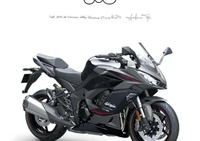 Kawasaki Ninja 1100 SX SE (2025 - 26) - Annuncio 9604088
